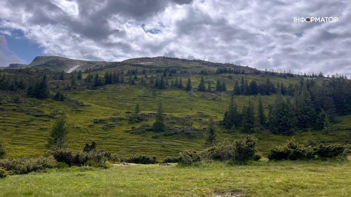 Грибника з Прикарпаття підозрюють у незаконному переправлені військовозобовʼязаних через Карпати до Румунії