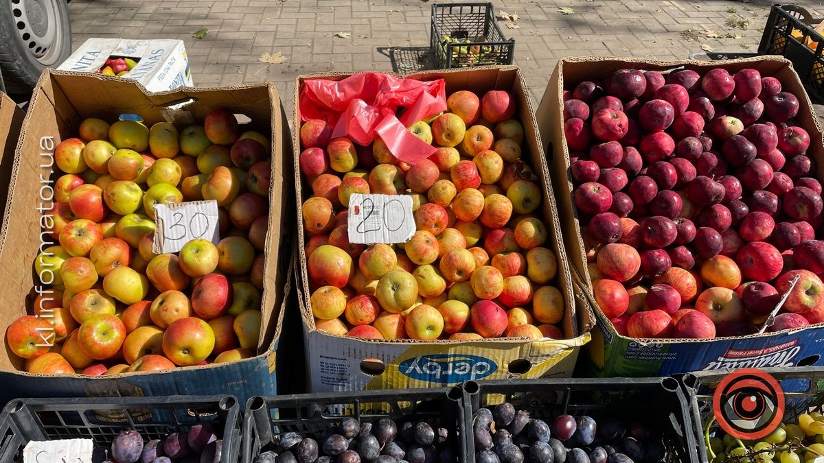 Ціни на сезонні овочі та фрукти на оптовому ринку Коломиї 5