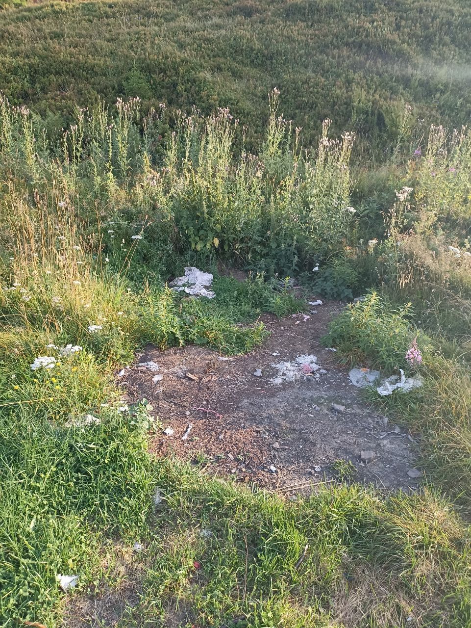 Сміття одразу біля озера Несамовите