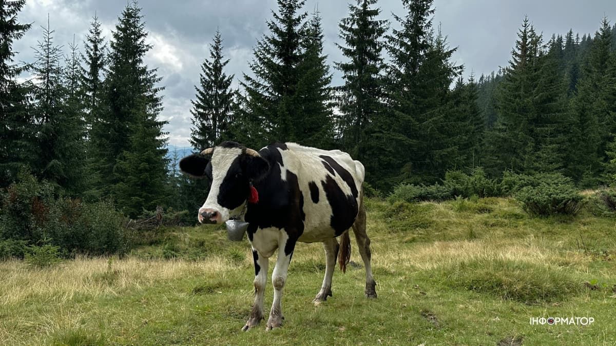 Цей день в календарі: свята, іменини, прикмети 2 жовтня