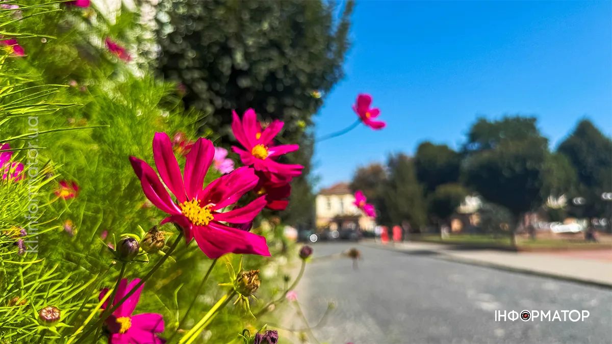 Якою Коломия була у вересні: фоторепортаж 9