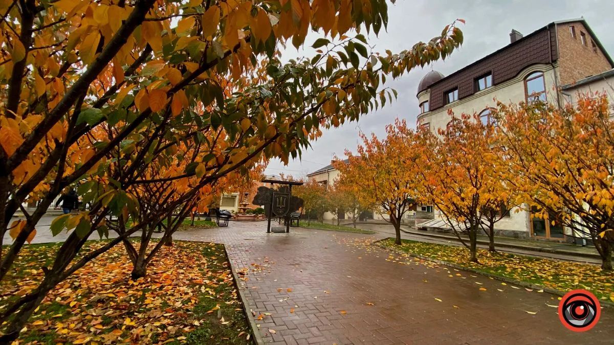 Перші не лише в боях: як креативлять "едельвейси" 2