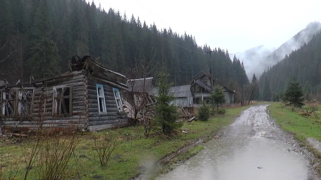 Покинуті будівлі в селі Буркут, що на Верховинщині. Фото: Суспільне. Карпати