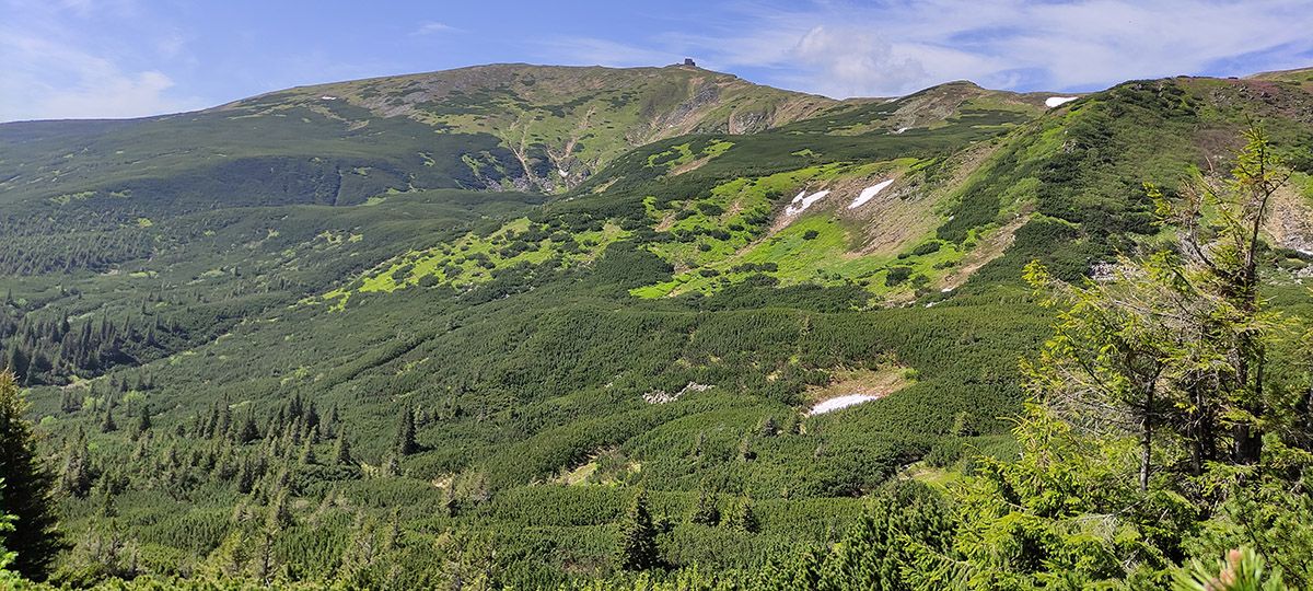 Чивчинський масив. Фото: Gorgany