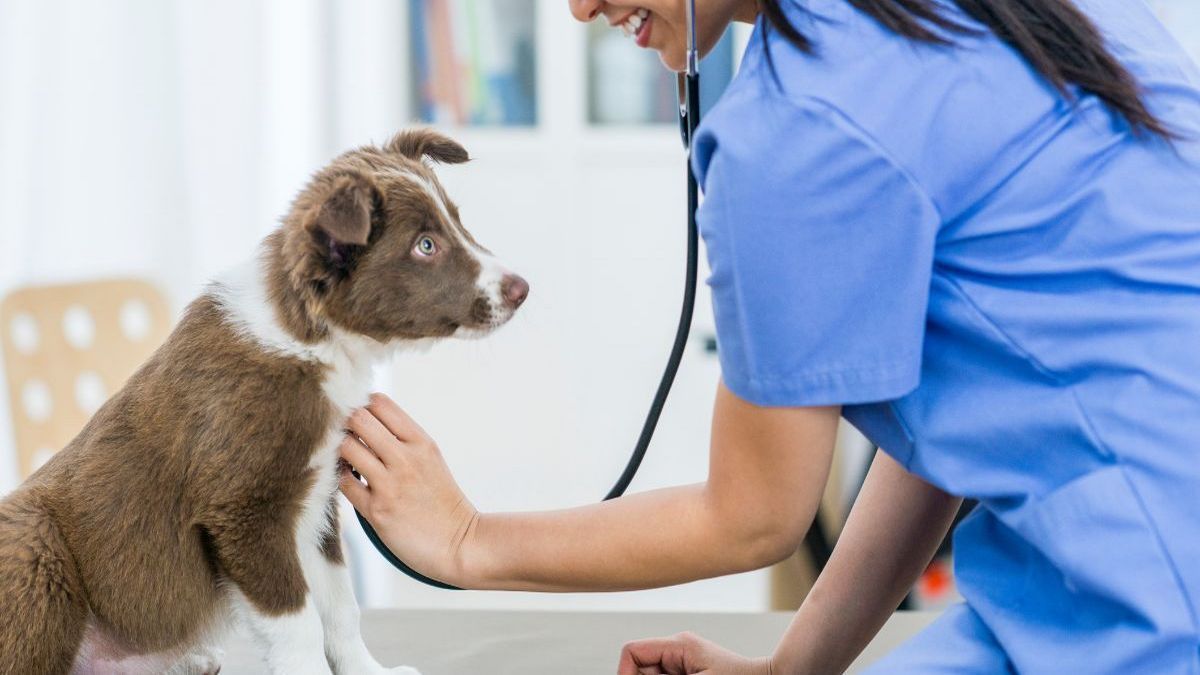 Цей день в календарі: свята, іменини, прикмети 4 жовтня