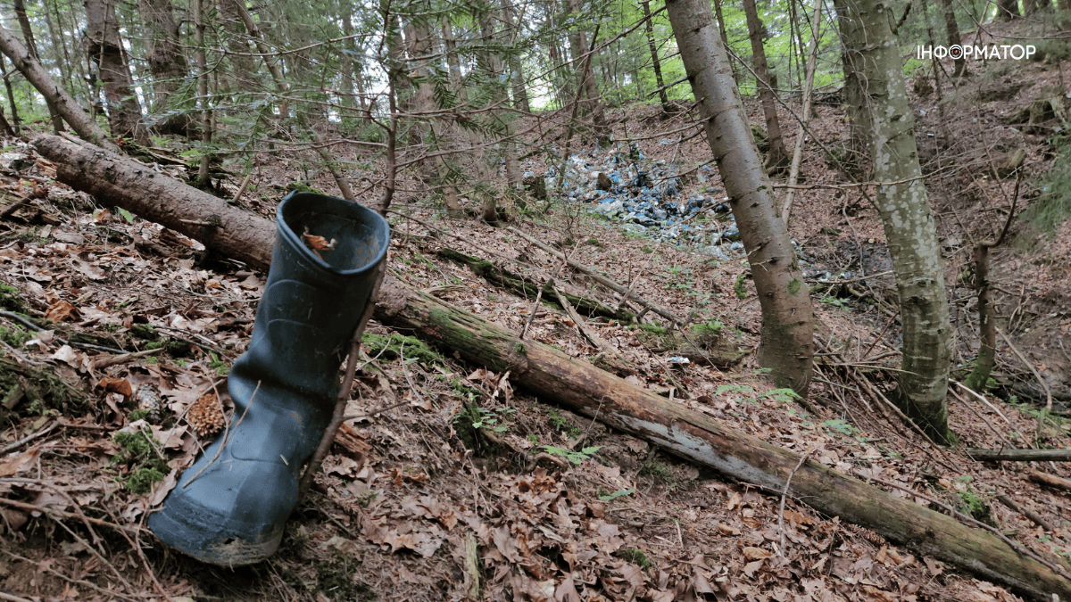 Ціле сміттєзвалище у Ворохтянському лісництві