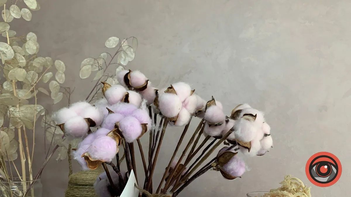 Цей день в календарі: свята, іменини, прикмети 7 жовтня