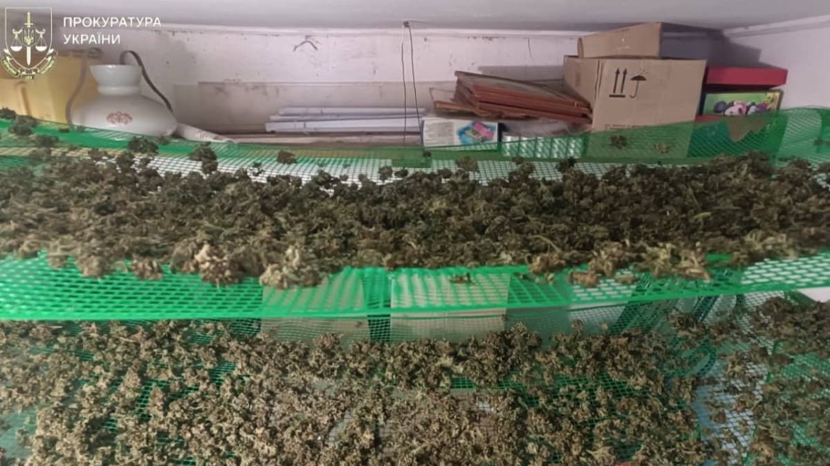 Двом наркоторговцям із Коломийщини повідомили про підозру