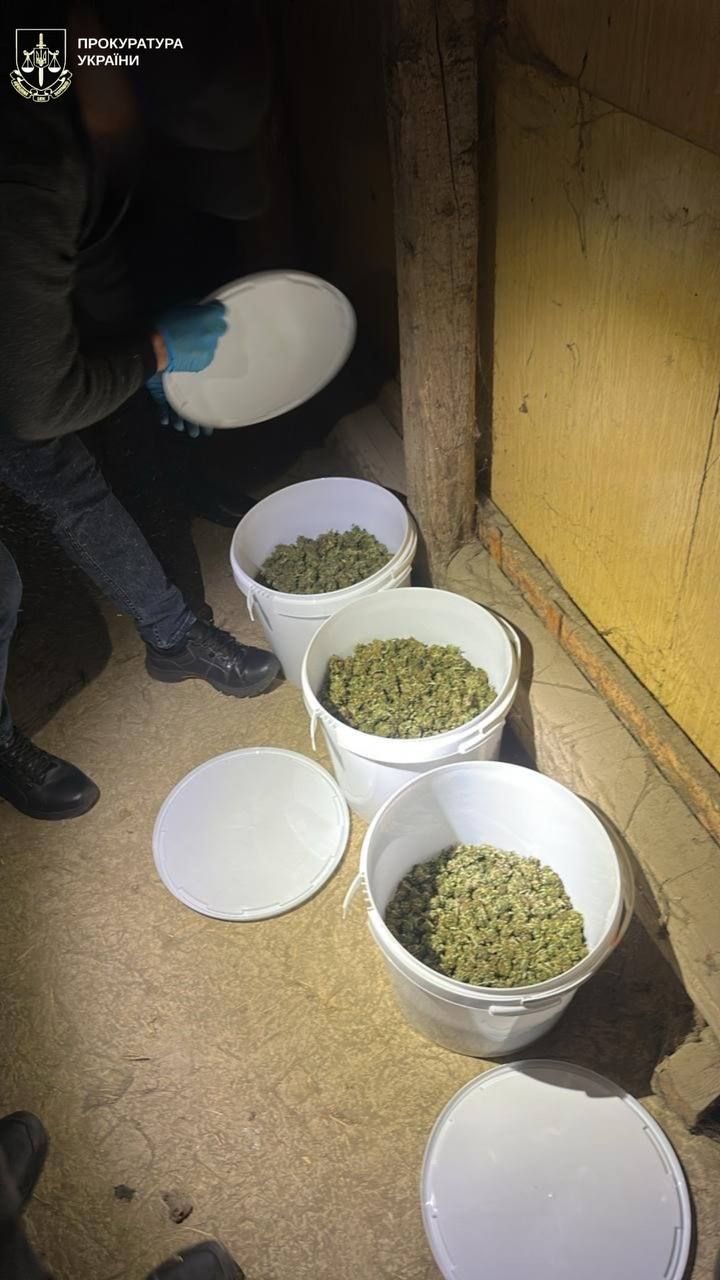 Вилучені наркотичні речовини. Фото: Івано-Франківська обласна прокуратура