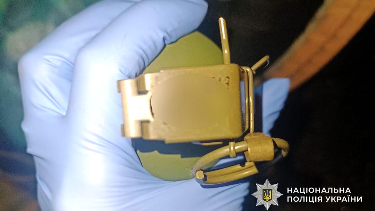 Прикарпатець перевозив у автівці "трофеї із зони бойових дій". Його затримала поліція 1