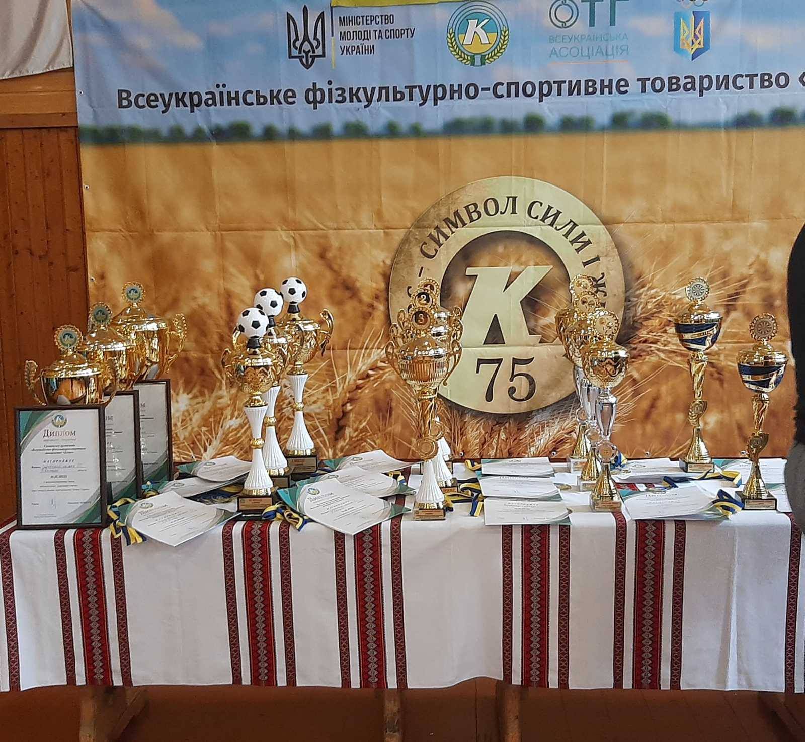 Коломийські спортсмени відзначилися перемогами на всеукраїнських змаганнях 8