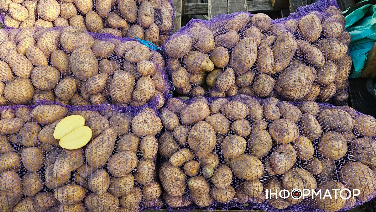 Все в одну ціну: яка оптова вартість картоплі, буряку, капусти та цибулі в Коломиї 1