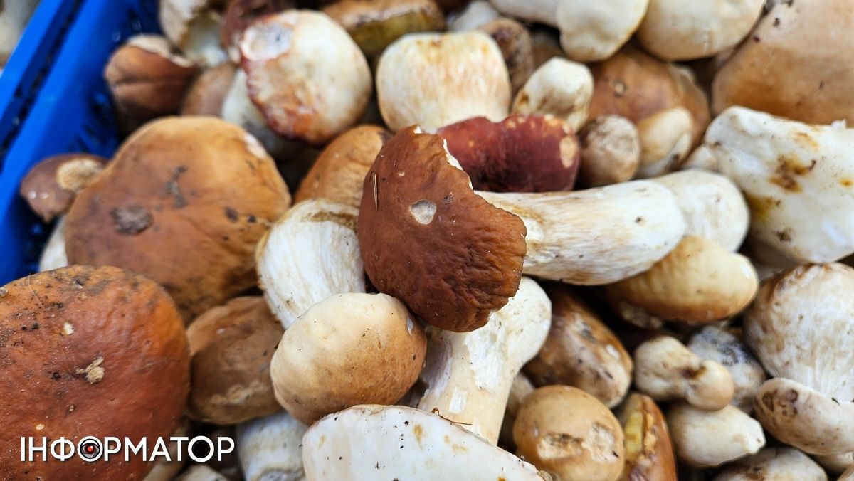 Які ціни на білі гриби у Коломиї 2