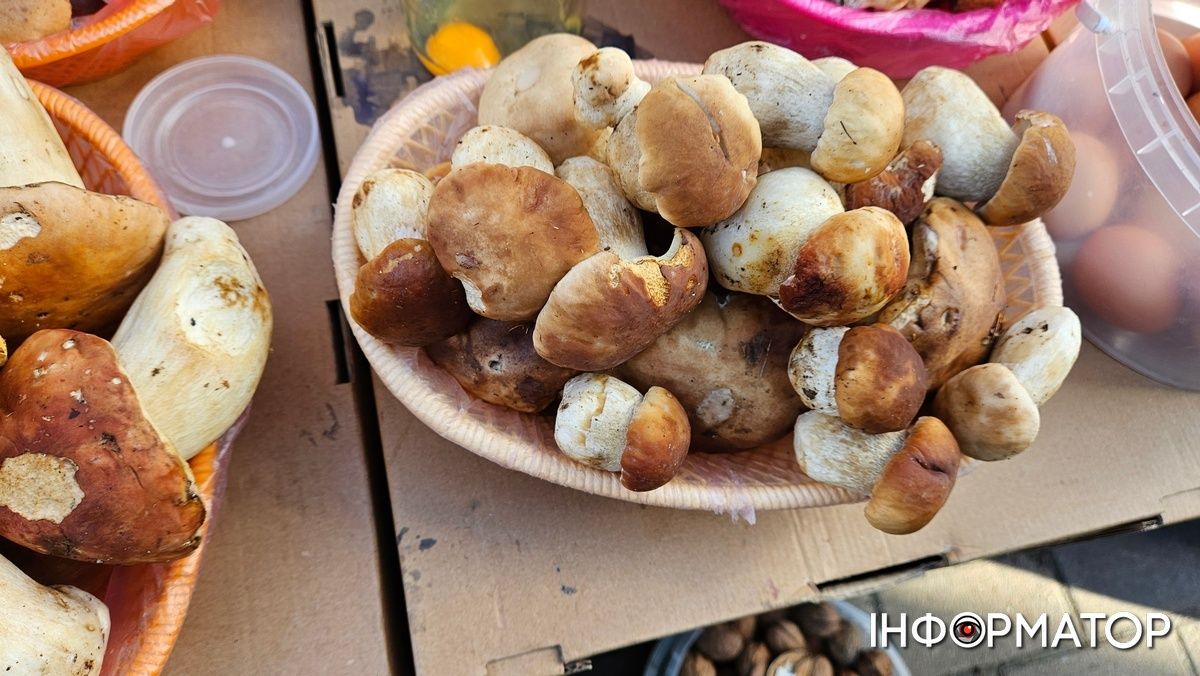Які ціни на білі гриби у Коломиї 4
