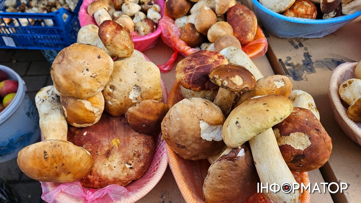 Які ціни на білі гриби у Коломиї 5