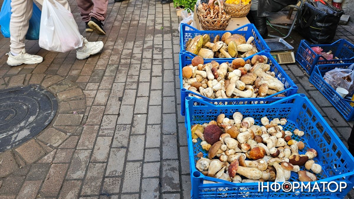 Які ціни на білі гриби у Коломиї 1