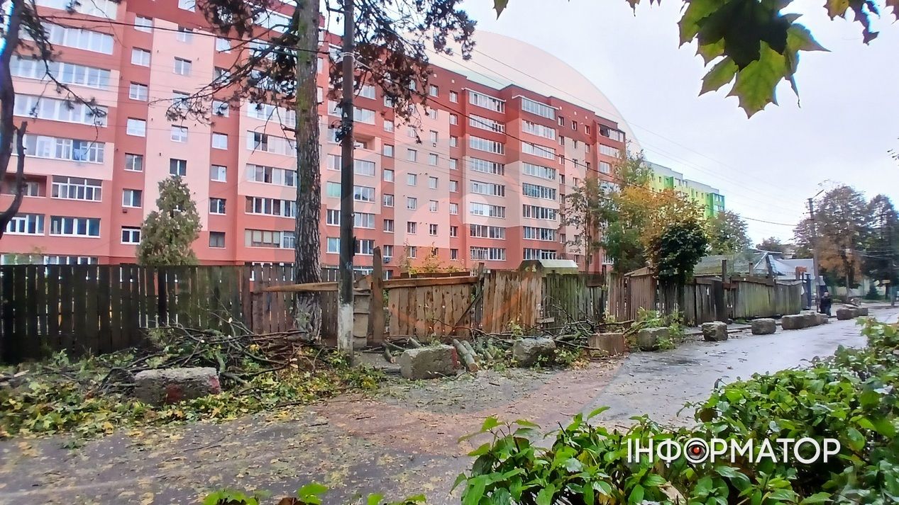Вітер повалив дерево у Коломиї: наслідки негоди 3