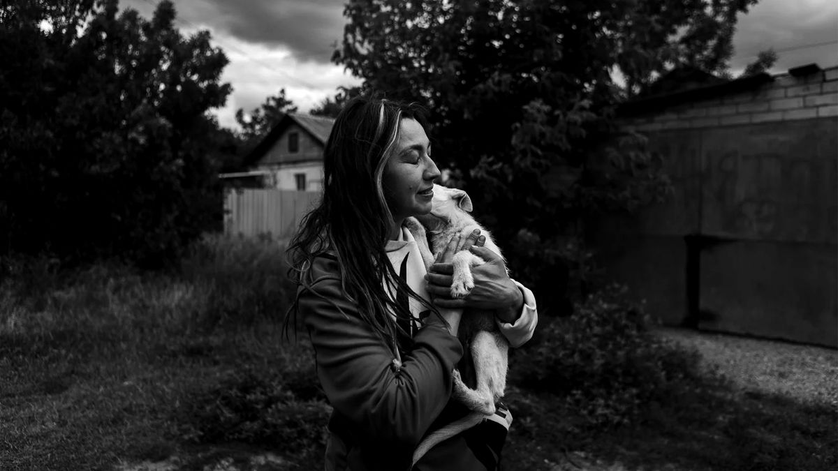 Підтримка евакуації тварин із зони бойових дій: у Коломиї презентують благодійну виставку-продаж 2