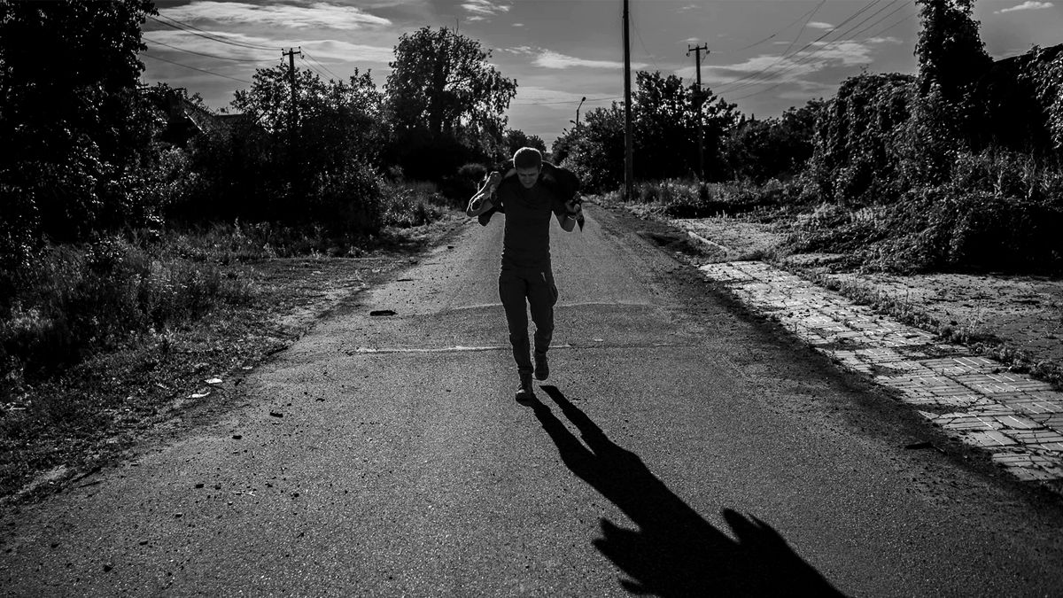 Підтримка евакуації тварин із зони бойових дій: у Коломиї презентують благодійну виставку-продаж 1