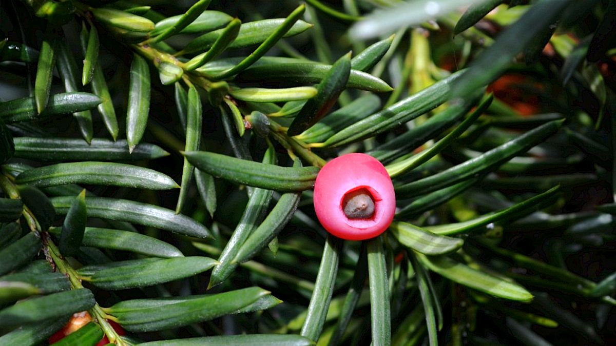 місця відпочинку