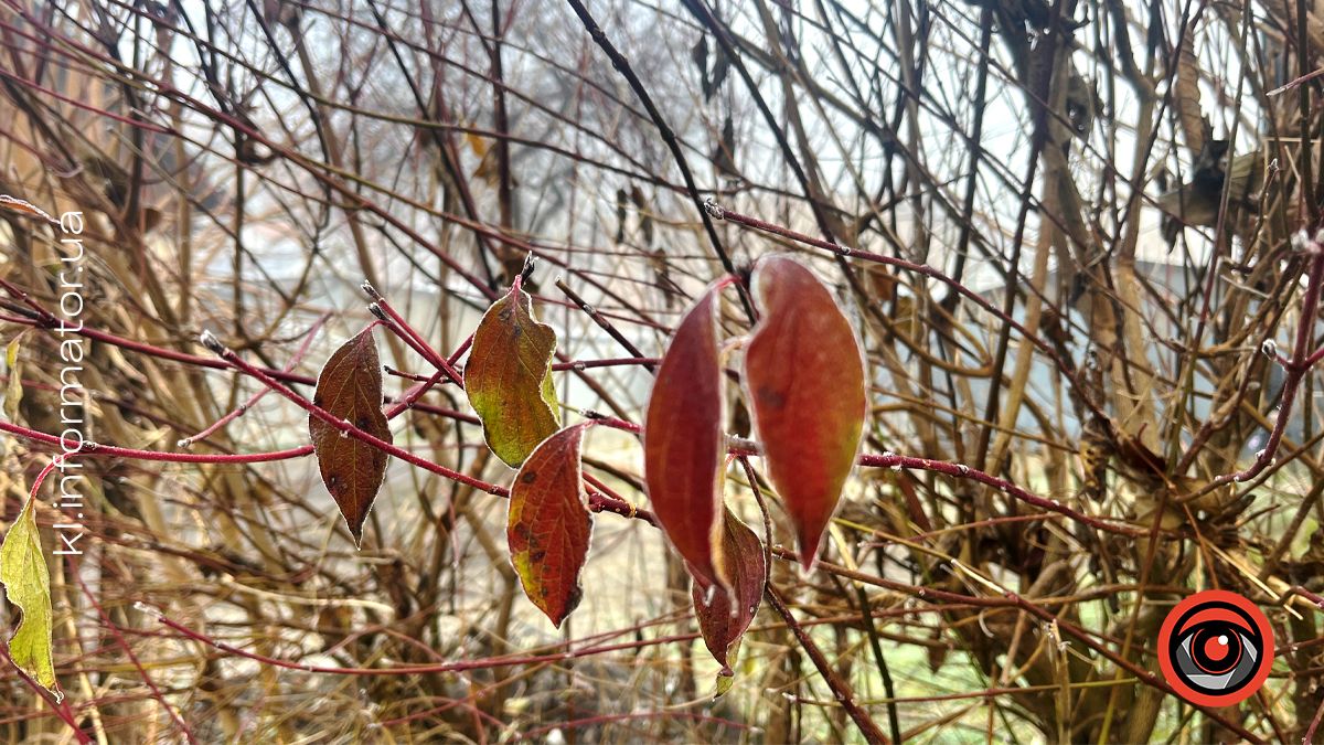 Погода у Коломиї 15 жовтня