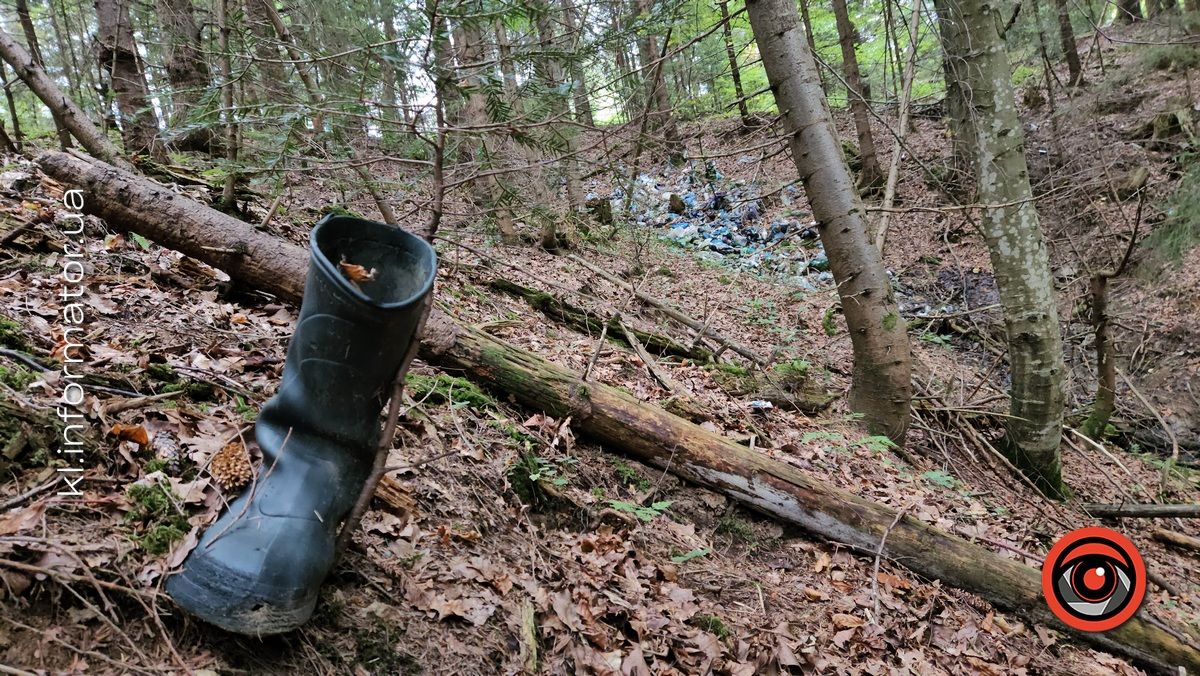 Карпатсько-стихійне: як ворохтянські ліси потерпають від засмічення пластиком