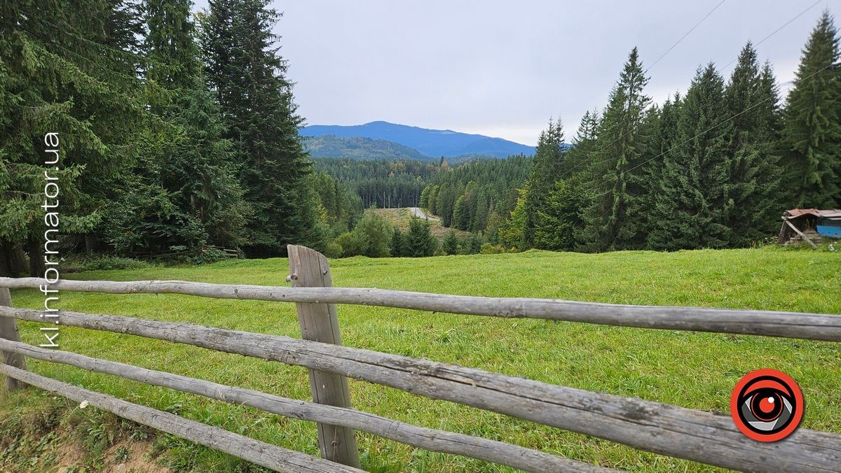 Карпатсько-стихійне: як Ворохтянські ліси потерпають від засміченя пластиком 1