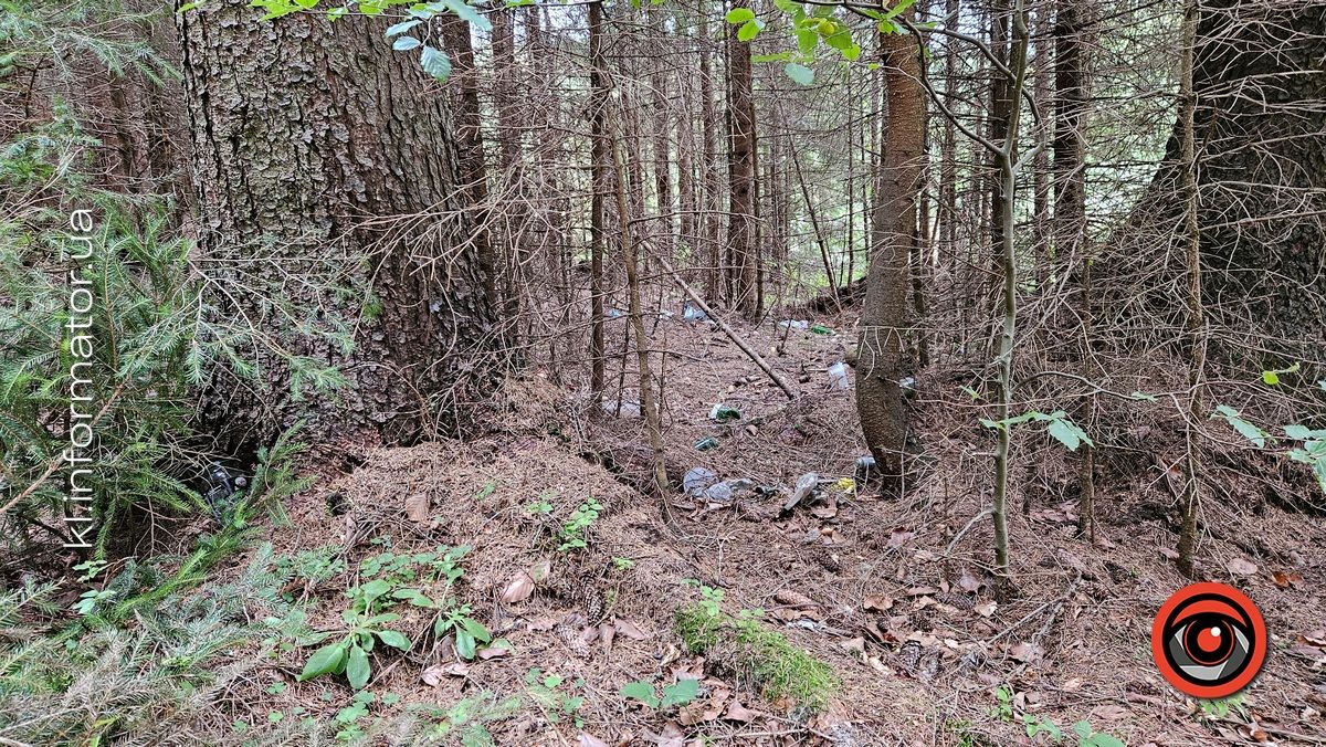 Карпатсько-стихійне: як Ворохтянські ліси потерпають від засміченя пластиком 4