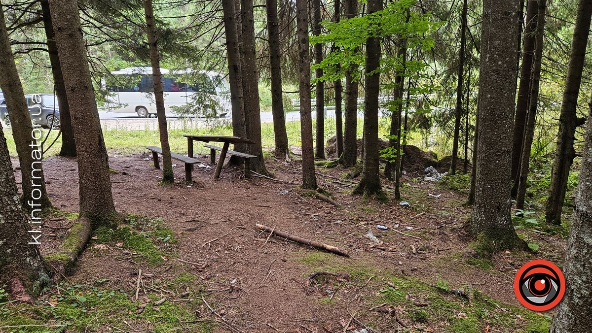 Карпатсько-стихійне: як Ворохтянські ліси потерпають від засміченя пластиком 5