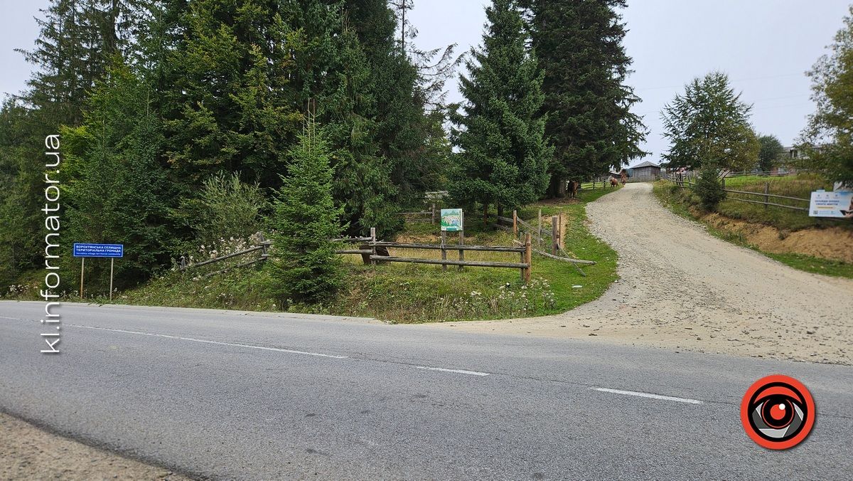 Карпатсько-стихійне: як Ворохтянські ліси потерпають від засміченя пластиком 2