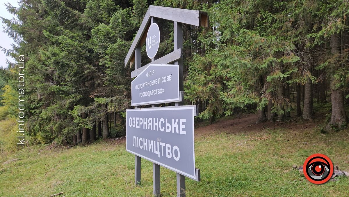 Карпатсько-стихійне: як Ворохтянські ліси потерпають від засміченя пластиком 3