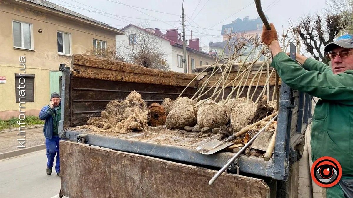 тендери коломия