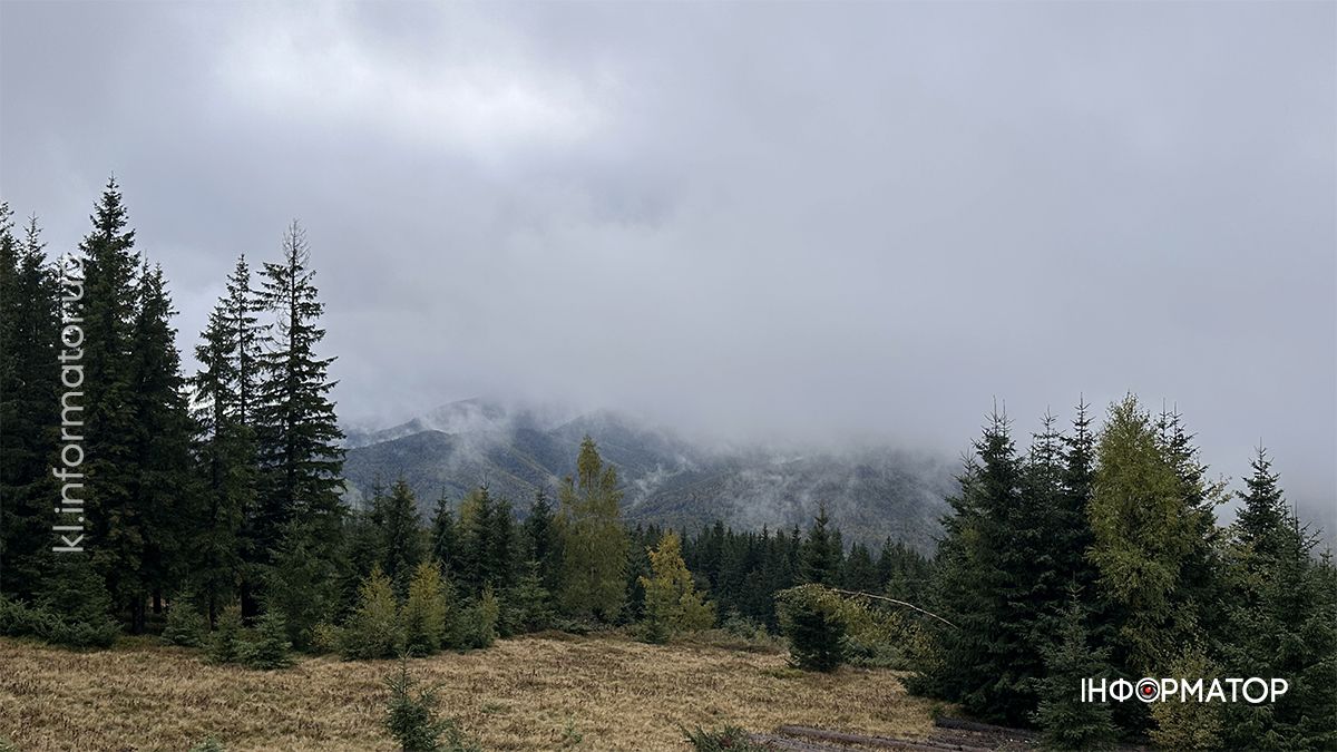 Туманні стежки і золоте листя: фоторепортаж з осінніх Карпат 1