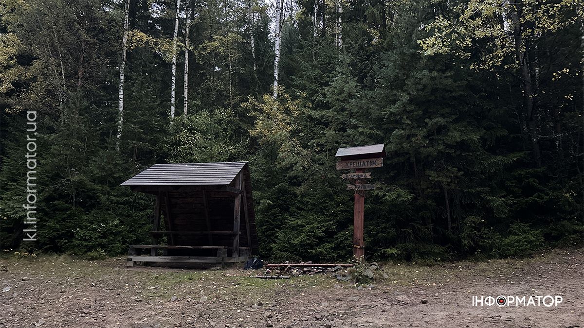 Туманні стежки і золоте листя: фоторепортаж з осінніх Карпат 4