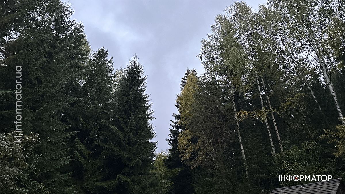 Туманні стежки і золоте листя: фоторепортаж з осінніх Карпат 5