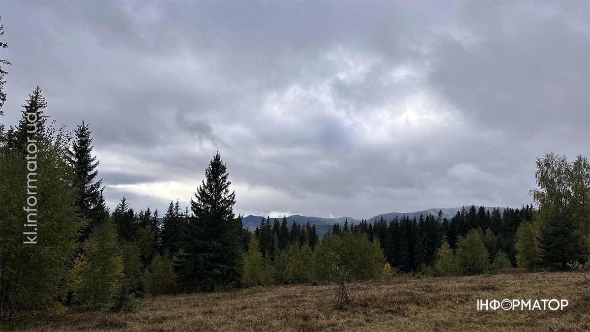 Туманні стежки і золоте листя: фоторепортаж з осінніх Карпат 7