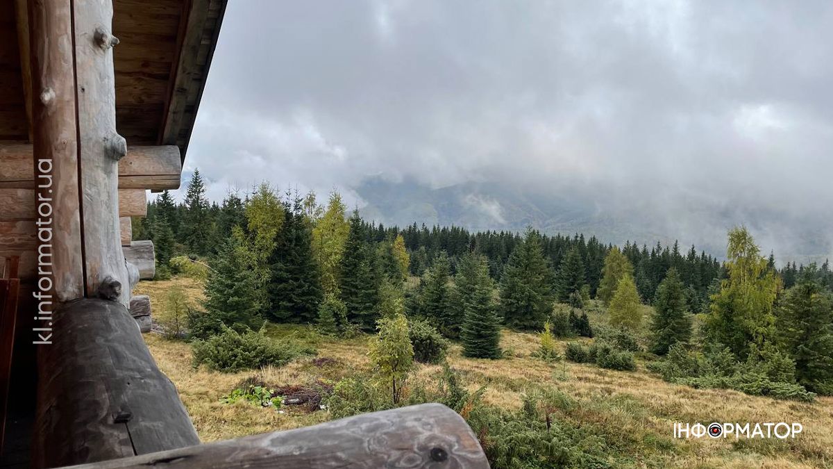 Туманні стежки і золоте листя: фоторепортаж з осінніх Карпат 8