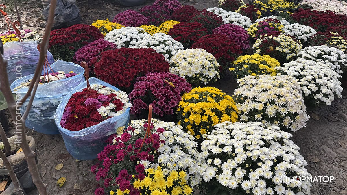 А дешевше віддасте? Фоторепортаж з коломийської Торговиці 3