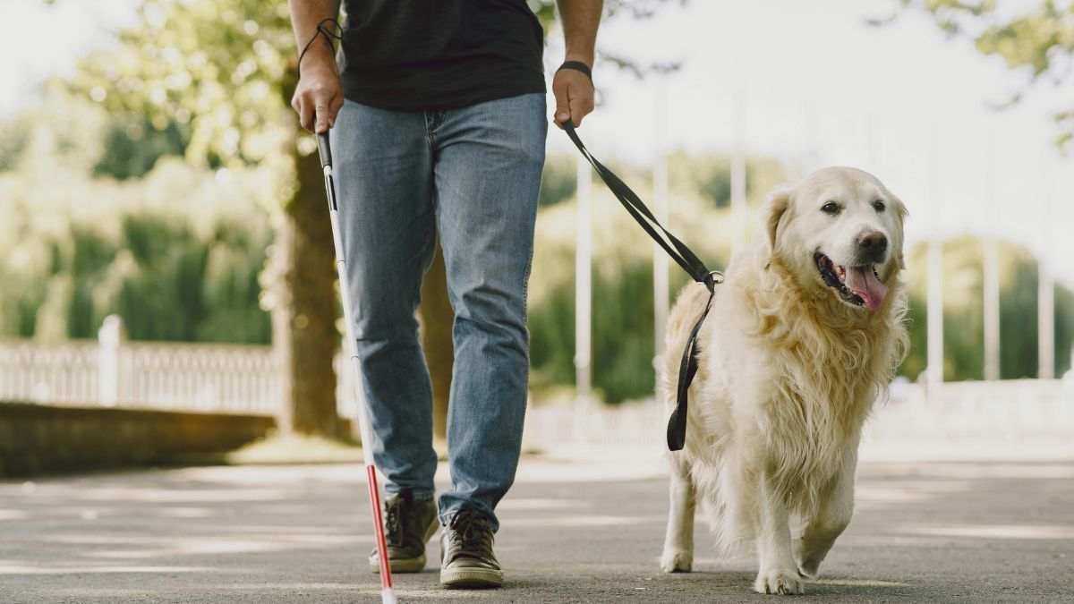 Ветерани, які повністю або частково втратили зір, можуть взяти участь у спеціалізованій програмі адаптації