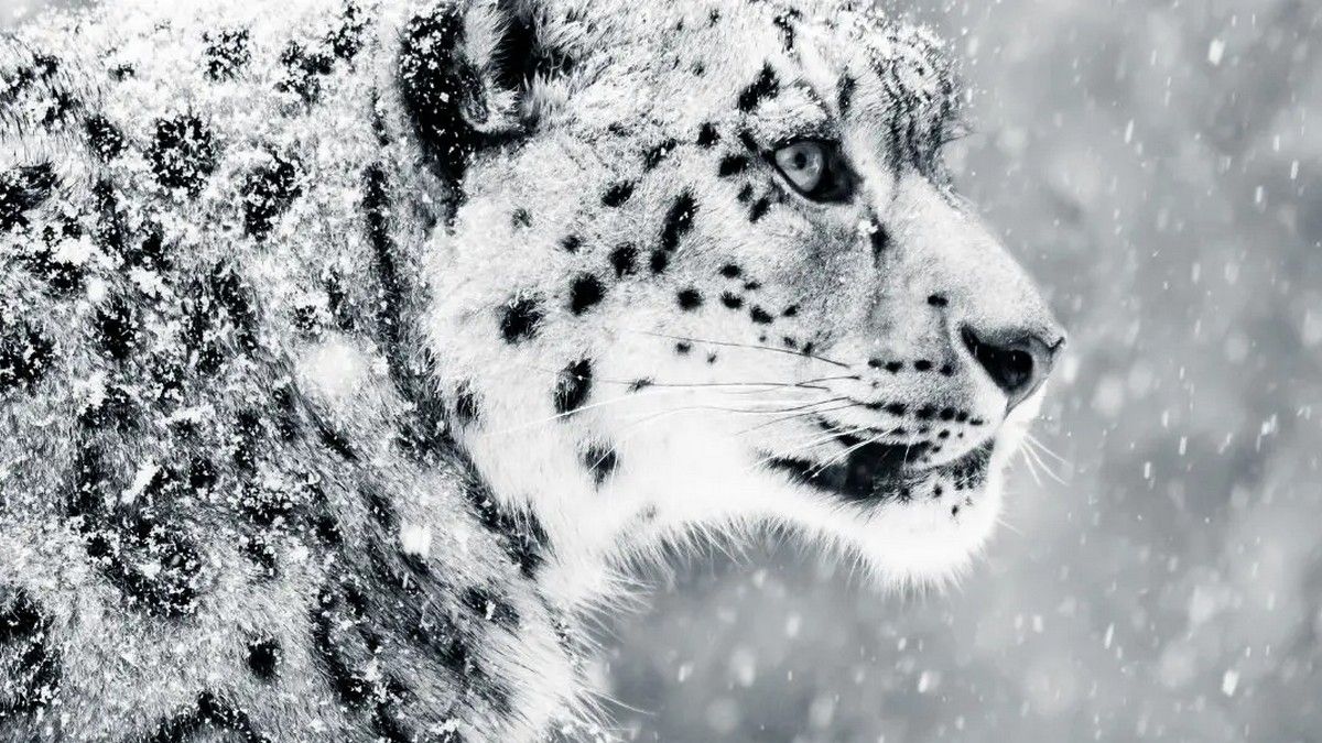 Свята, іменини, прикмети 23 жовтня