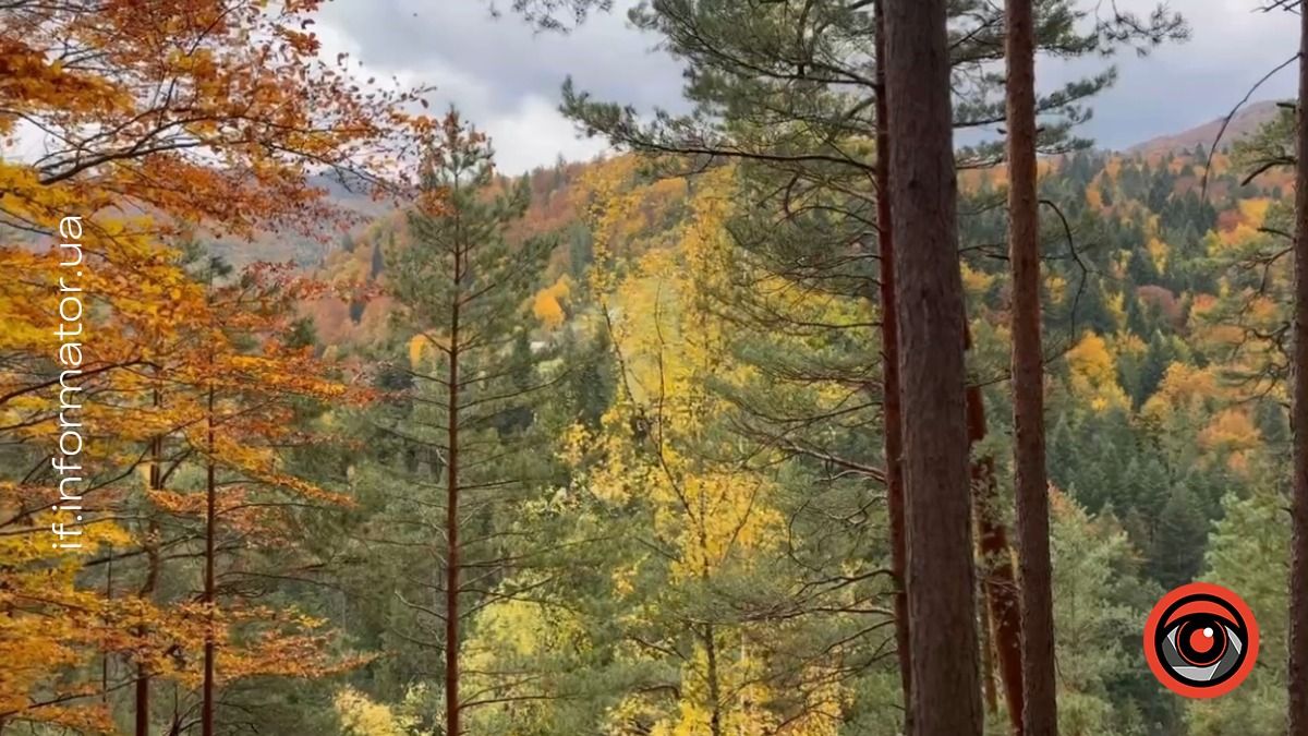 Фото: Інформатор Івано-Франківськ Фото: Інформатор Івано-Франківськ