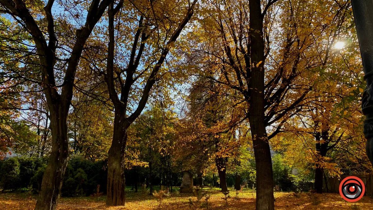 Погода в Коломиї 26 жовтня