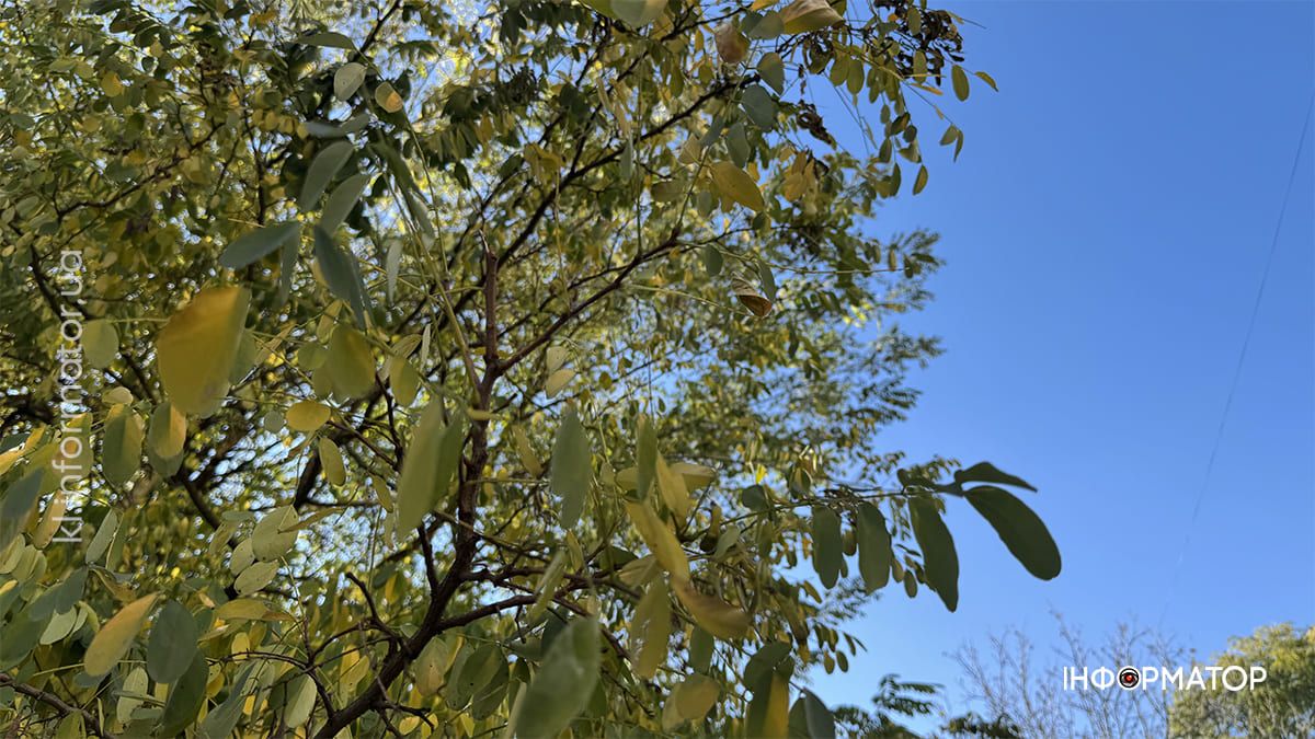 Коломия у теплих відтінках осені: місто у фоторепортажі 17