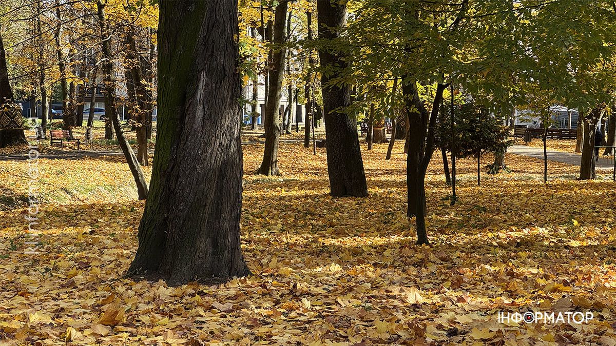 Коломия у теплих відтінках осені: місто у фоторепортажі 8