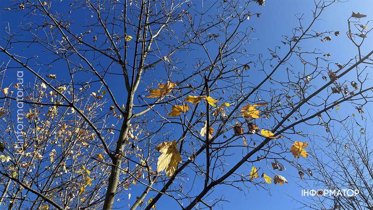 Коломия у теплих відтінках осені: місто у фоторепортажі 3