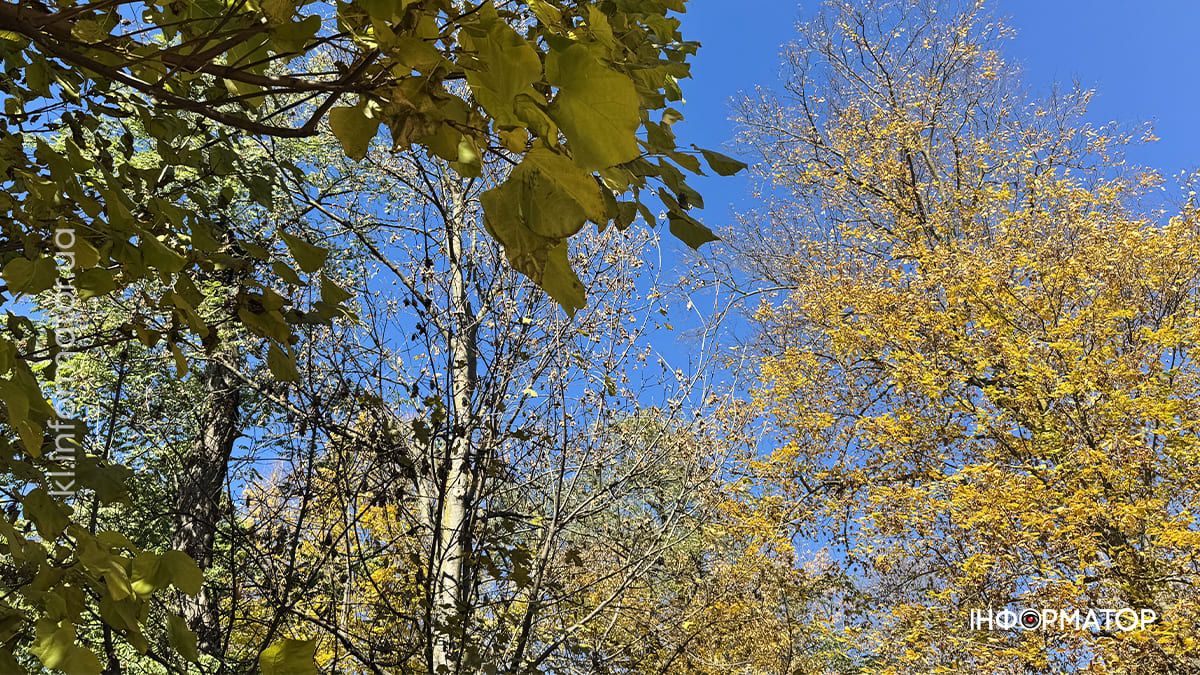 Коломия у теплих відтінках осені: місто у фоторепортажі 12