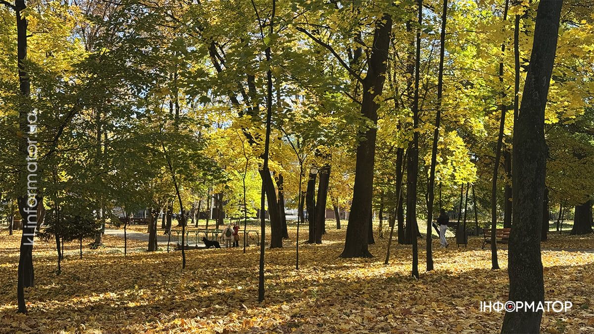 Коломия у теплих відтінках осені: місто у фоторепортажі 14