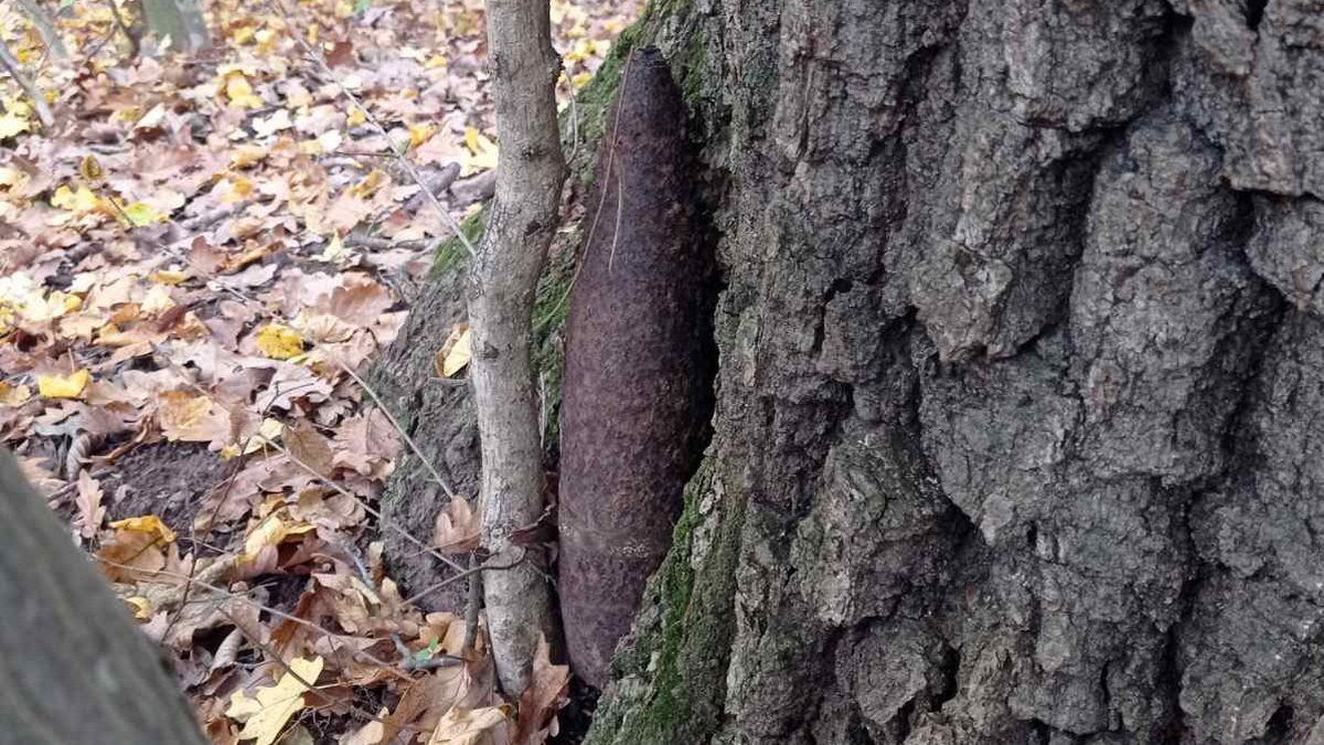 Вибухонебезпечний предмет виявили у селі на Коломийщині