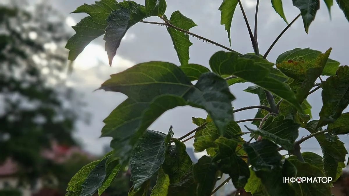 Якою Коломия була у жовтні: фоторепортаж 10