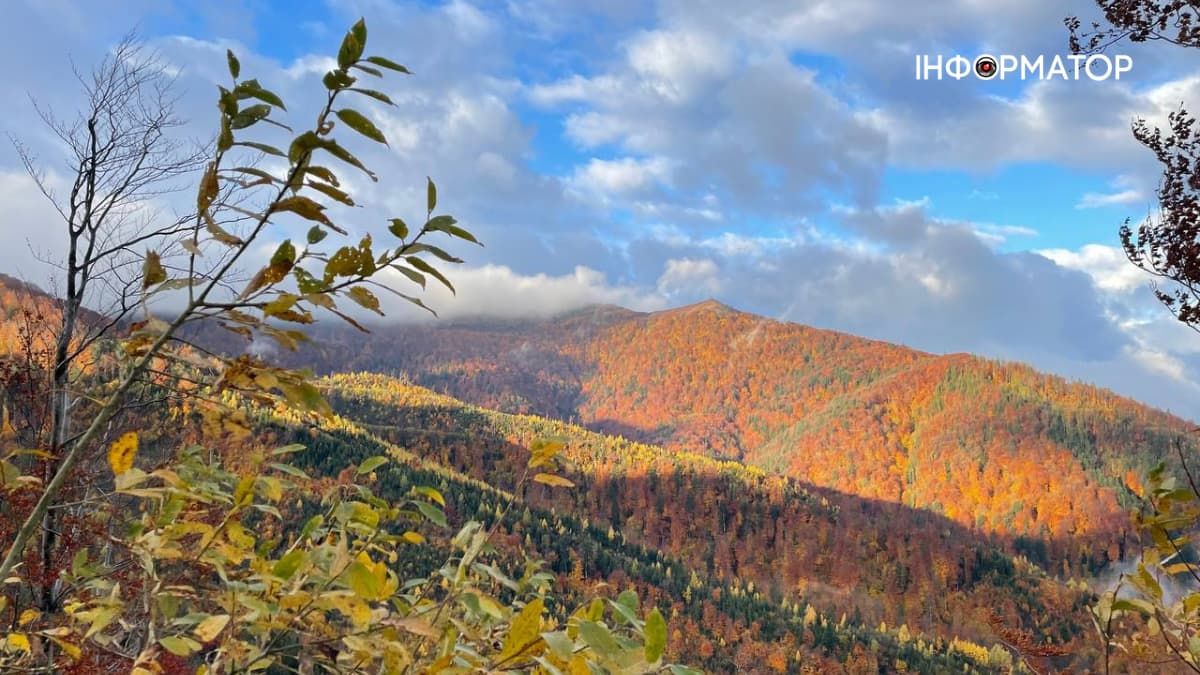 Як осінь у горах поступилася зимі: фоторепортаж з Карпат 5